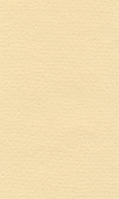 Hahnemühle Pastel Paper - Lana Colours - 160 gsm - 70 x 100 cm