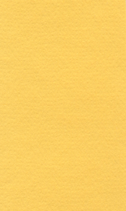 Hahnemühle Pastel Paper - Lana Colours - 160 gsm - 50 x 65 cm